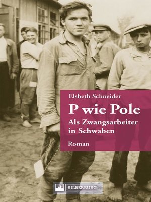 cover image of P wie Pole. Ein Roman aus Schwaben